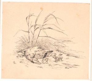 被杀死的野鸭。卡伦德《儿童寓言》插图。参见纸张目录中的评论。 作者 约翰·托马斯·伦比