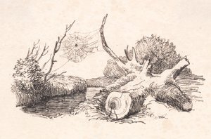 蜘蛛 作者 约翰·托马斯·伦比