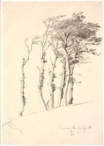 风吹树群 作者 约翰·托马斯·伦比