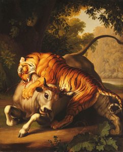 猛虎袭击公牛，1785年 作者 Johan Wenzel Peter