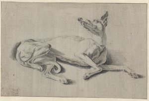 躺着的灵缇犬 作者 Pieter van Bloemen（拒绝归因）