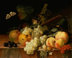 大理石壁架上的水果与蝴蝶、蜗牛和毛毛虫（布面油画） 作者 约翰·阿曼杜斯·温克