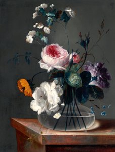 花卉静物