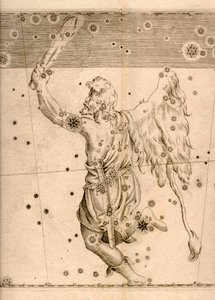 显示猎户座的《天体测量学》（1661年）。