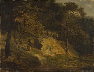 那个Djurgården在斯德哥尔摩 作者 约翰·克里斯汀·埃兹多夫（Johann Christian Ezdorf）