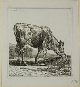 喂养小牛，摘自《动物的第二秩序 作者 约翰·克里斯汀·赖因哈特（Johann Christian Reinhart）