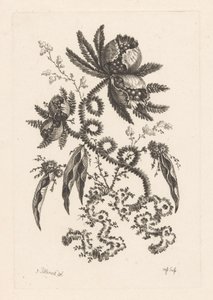 带浆果的花朵
巴洛克花卉（系列名称）
