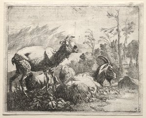 山羊，1665年。 作者 约翰·海因里希·罗斯