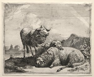 公羊和两只羊，1665年。