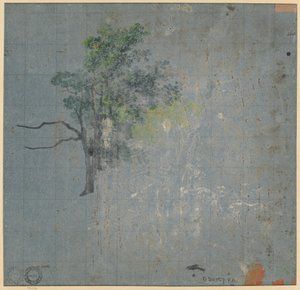 树木研究（背面） 作者 约翰·雅各布·多纳