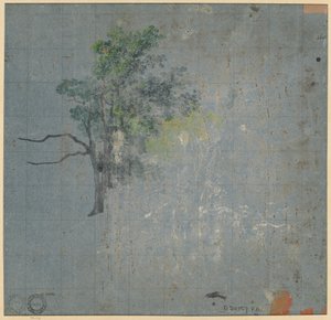 树木研究，19世纪上半叶。 作者 约翰·雅各布·多纳