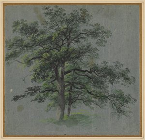 两棵树（右图） 作者 约翰·雅各布·多纳