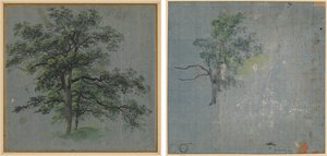 两棵树（正面） 树木研究（背面） 作者 约翰·雅各布·多纳