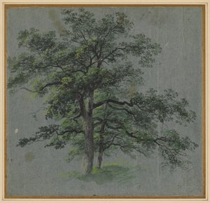 两棵树，19世纪上半叶。 作者 约翰·雅各布·多纳
