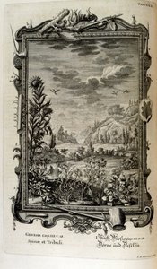瑞士学者 Johann Jakob Scheuchzer 所著《Physica Sacra》中的铜版画。约翰-雅各布-舍赫泽 作者 约翰·雅各布·舒赫泽