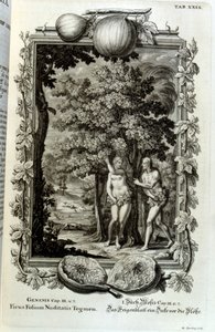 瑞士学者《Physica Sacra》中的铜版雕刻。 约翰·雅各布·舍伊泽
