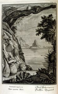 瑞士学者 Johann Jakob Scheuchzer 所著《Physica Sacra》中的铜版画。约翰-雅各布-舍赫泽 作者 约翰·雅各布·舒赫泽