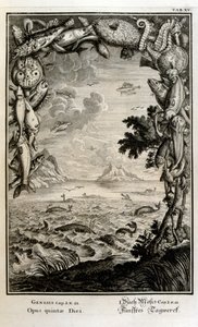 瑞士学者《Physica Sacra》中的铜版雕刻。 约翰·雅各布·舍伊泽 作者 约翰·雅各布·舒赫泽