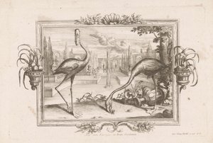 特威火烈鸟 Aves dicta Flaminges ex India Occidentali（物体上的标题） 作者 约翰·雅各布·施特尔策