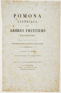 &39;Pomona Austriaca，或来自奥地利的果树&39;的标题页，1787-96（打印） 作者 约翰·卡夫（Johann Kraft）