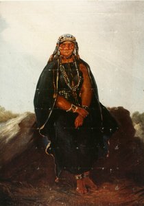 西班牙语  La araucana 作者 约翰·莫里茨·鲁根达斯