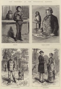动物园的奇怪草图 作者 Johann Nepomuk Schonberg