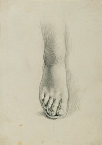 关于 "阿林达尔和道拉 "的足部研究 作者 约翰·彼得·克拉夫特