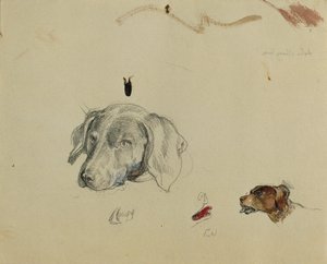 犬类研究 作者 约翰·彼得·克拉夫特