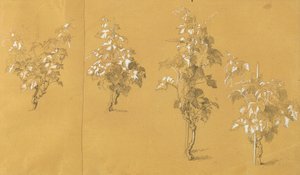 温斯托克，"葡萄园中的赫尔曼和多萝西娅 "研究报告 作者 约翰·彼得·克拉夫特