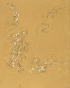 温斯托克，"葡萄园中的赫尔曼和多萝西娅 "研究报告 作者 约翰·彼得·克拉夫特