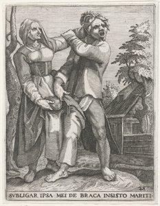 裤子争夺战
SUBLIGAR IPSA MEI DE BRACA INSISTO MARITI（物品上的标题）
塞库拉利亚徽章，1596 年（系列标题）