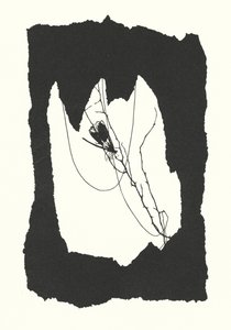 约翰娜-贝克曼剪影（平版）