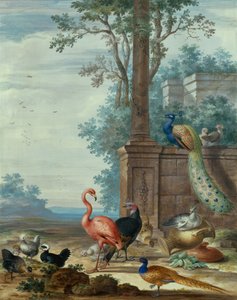 一幅意大利风格的风景画，画有孔雀、野鸡、火烈鸟和其他禽类（水粉画） 作者 约翰尼斯·布朗克霍斯特（Johannes Bronckhorst）