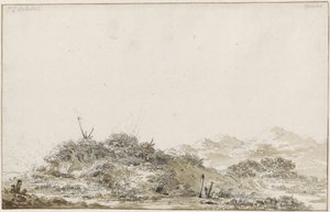 沙丘景观