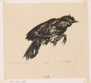 Doode spreeuw（物品上的原标题）