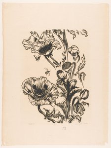 Studie papavers（物品上的原标题） 作者 Johannes Frederik Engelbert 十克洛斯特（艺术家签名）
