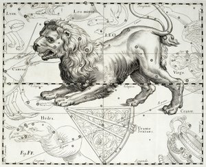 狮子座，狮子座，插图取自 Johann Hevelius (1611-1687) 星图谱 Firmamentum Sobiescianum sive Uranographia，格但斯克 作者 Johannes Hevelius