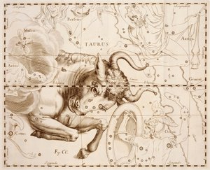 金牛座（黄道十二宫），雕刻自 Firmamentum Sobiescianum sive Uranographia，完整的星表，作者：Johann Hevelius（1611-1687），在格但斯克印刷 作者 Johannes Hevelius