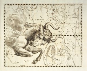 金牛座，金牛座，天体图集《Firmamentum Sobiescianum sive Uronographia》中的雕刻，作者约翰-赫维留斯（1611-1687 年），格但斯克 作者 Johannes Hevelius