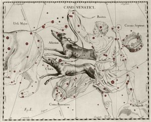 猎犬星座 Canes Venatici。 取自 Johannes Hevelius 或 Hevel（1611-1687）的“Firmamentum Sobiescanum sive Uranographia”的盘子 作者 Johannes Hevelius