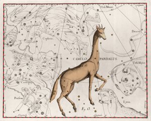 长颈鹿板块的星座取自 Johannes Hevelius 或 Hevel（1611-1687）的“”Firmamentum Sobiescanum sive Uranographia” 作者 Johannes Hevelius