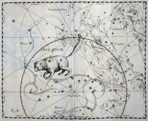 小熊座，小熊座的北方星座，雕刻自天体图集 Firmamentum Sobiescianum sive Uronographia，约翰·赫维留斯 (Johann Hevelius，1611-1687)，格但斯克 作者 Johannes Hevelius