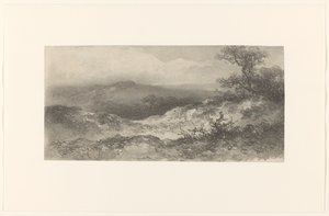 沙丘景观 作者 约翰内斯·希尔弗丁克