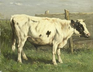  作者 Johannes Hubertus Leonardus de Haas