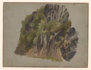 岩石和植被 作者 约翰内斯·塔文拉特