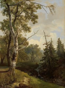 Waldstückbei Wolfheze（Wolfheze附近的森林景观）