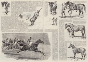 一匹赛马的职业生涯（雕版画 作者 约翰（后）查尔顿