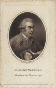Sir Joseph Banks, English naturalist, botanist and President of the Royal Society (engraving) 作者 约翰（后）罗素