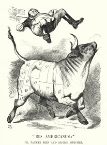 Punch cartoon: Bos Americanus; or, Yankee Beef and British Butcher - expected benefits to consumers of importing American meat (engraving) 作者 约翰（后）坦尼尔