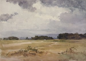 一个有树木的田野，19世纪;